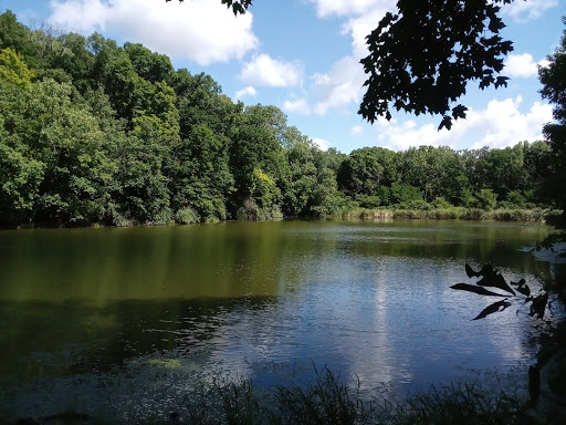 Illinois River Bluff Trail