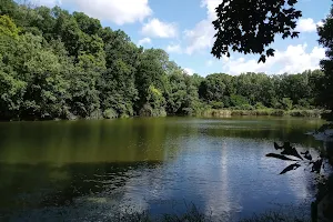 Illinois River Bluff Trail image