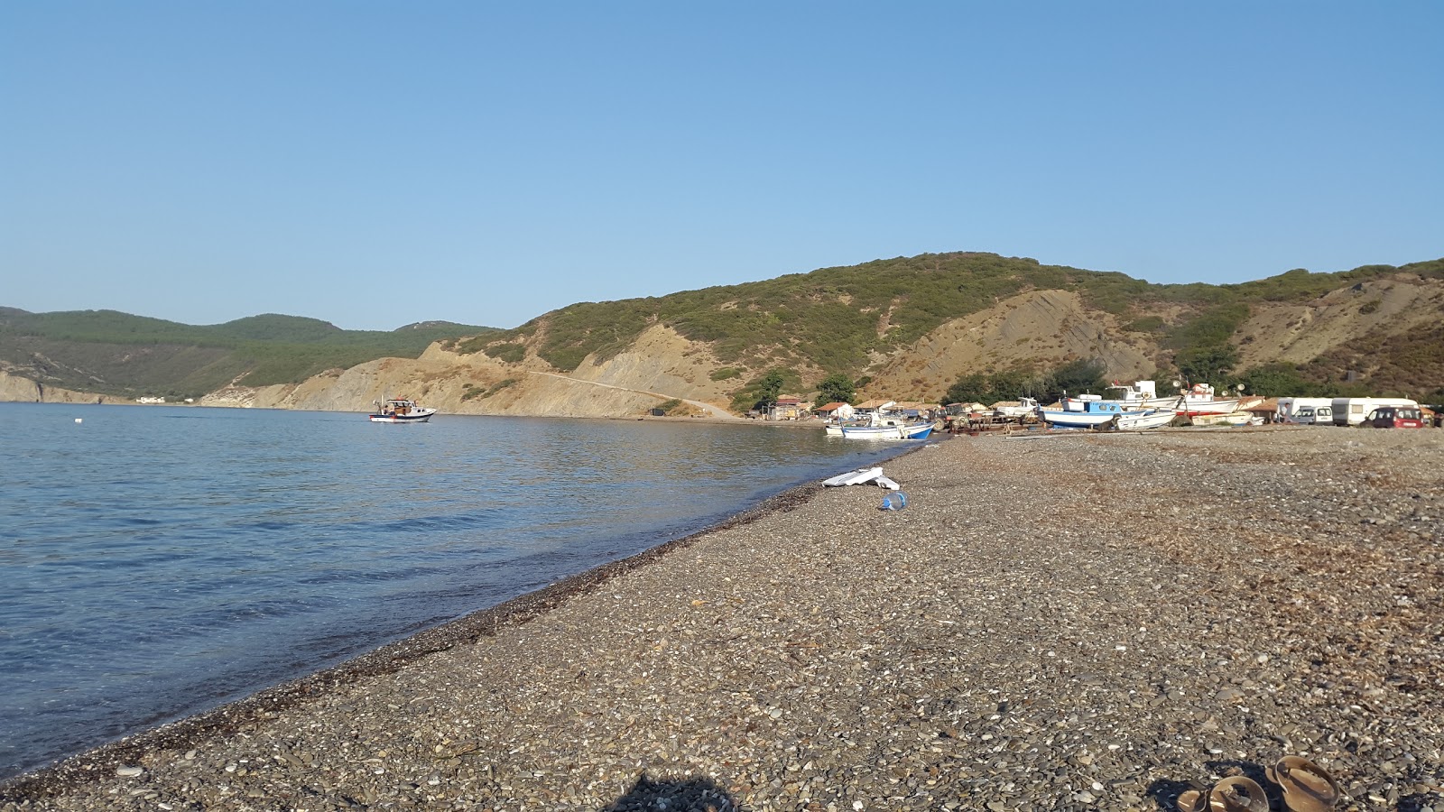 Ece Limanı Plaj'in fotoğrafı vahşi alan