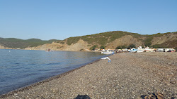 Ece Limanı Plaj'in fotoğrafı vahşi alan