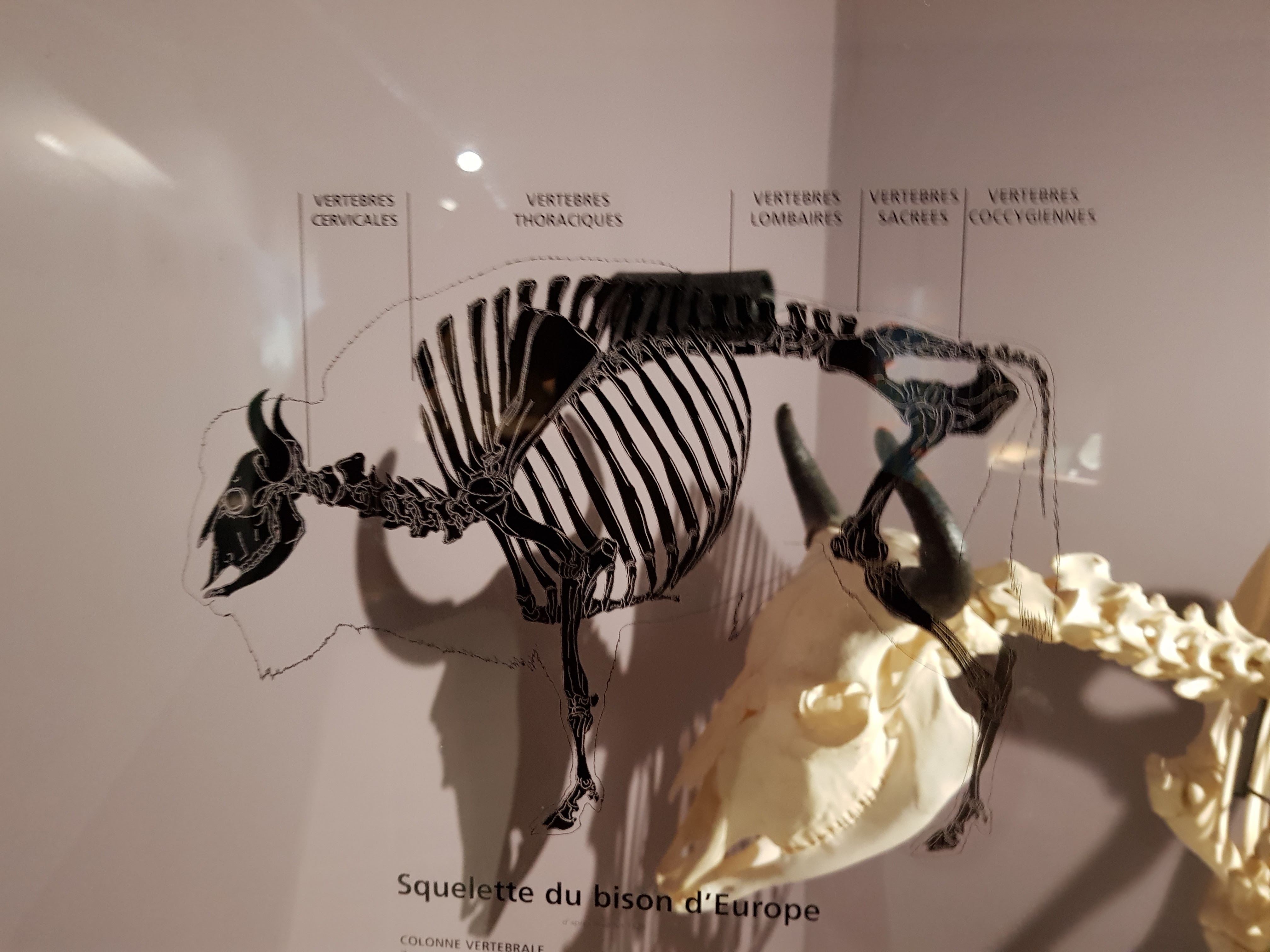 Photo n° 12 de l'avis de Nicolas.e fait le 19/08/2021 à 08:52