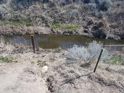 Water Park «Wild Island Family Adventure Park - Waterpark», reviews and photos, 250 Wild Island Ct, Sparks, NV 89434, USA