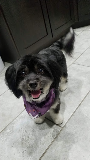 Pet Supply Store «Pet Club North Mesa», reviews and photos, 1224 N Gilbert Rd, Mesa, AZ 85203, USA