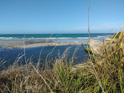 Zdjęcie Kakanui Beach z poziomem czystości wysoki