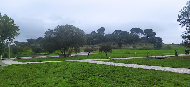 Av. Dr. Aurélio Ribeiro 3, Tomar