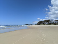 Foto af Tallow Beach beliggende i naturområde