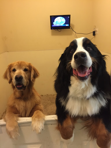 Pet Boarding Service «Howliday Inn Suites & Treats Pet Resort», reviews and photos, 1 Davis Ct, Hurricane, WV 25526, USA