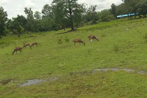 Kinnerasani Deer Park image