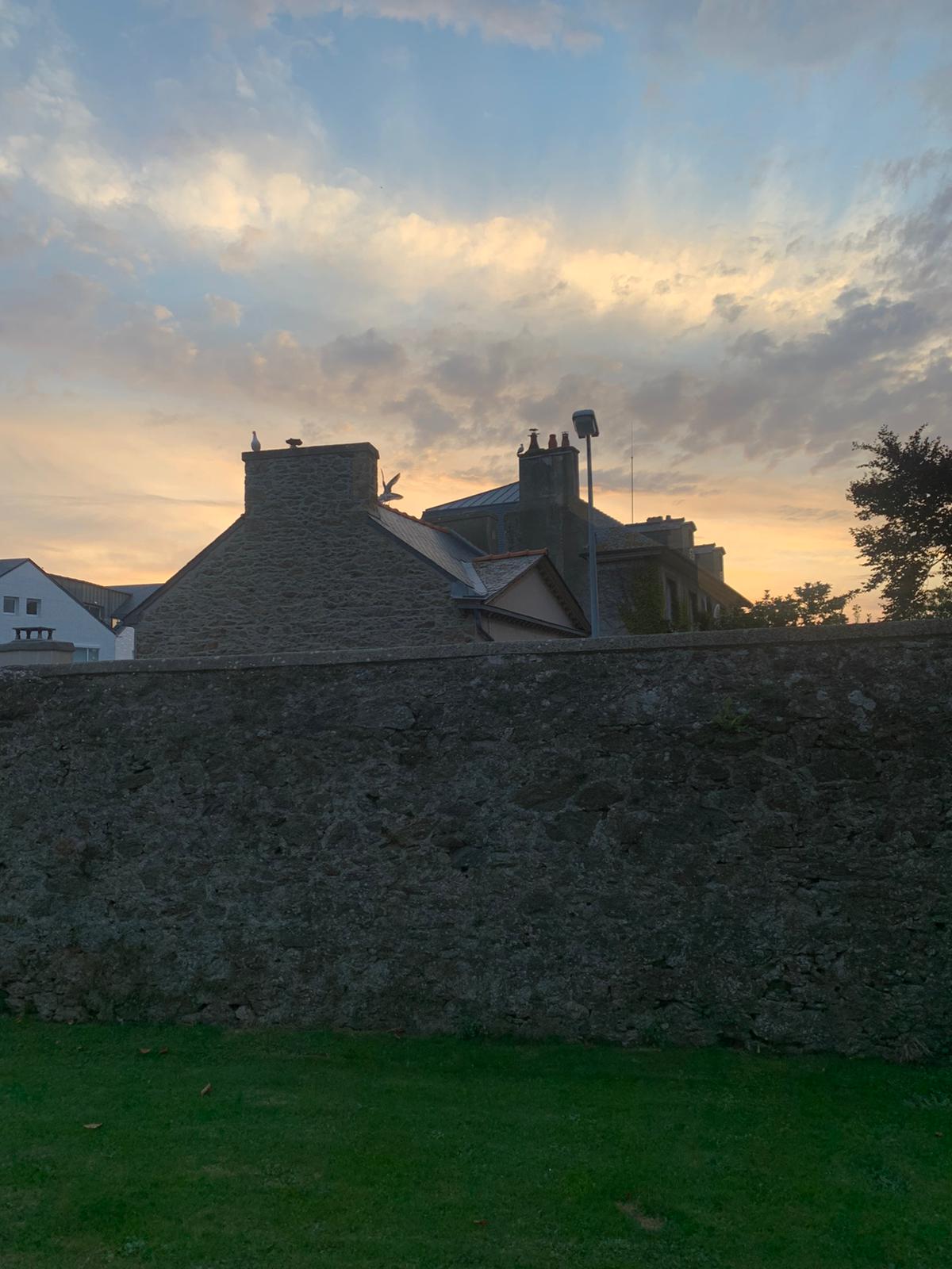 Photo n° 14 de l'avis de SR. fait le 19/09/2020 à 07:24