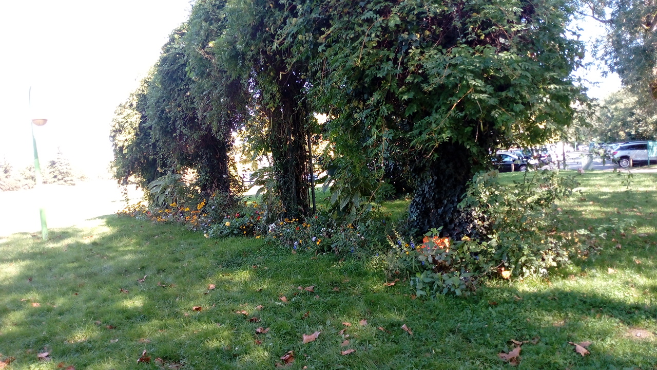 Photo n° 45 de l'avis de Delbart.e fait le 29/09/2019 à 12:17