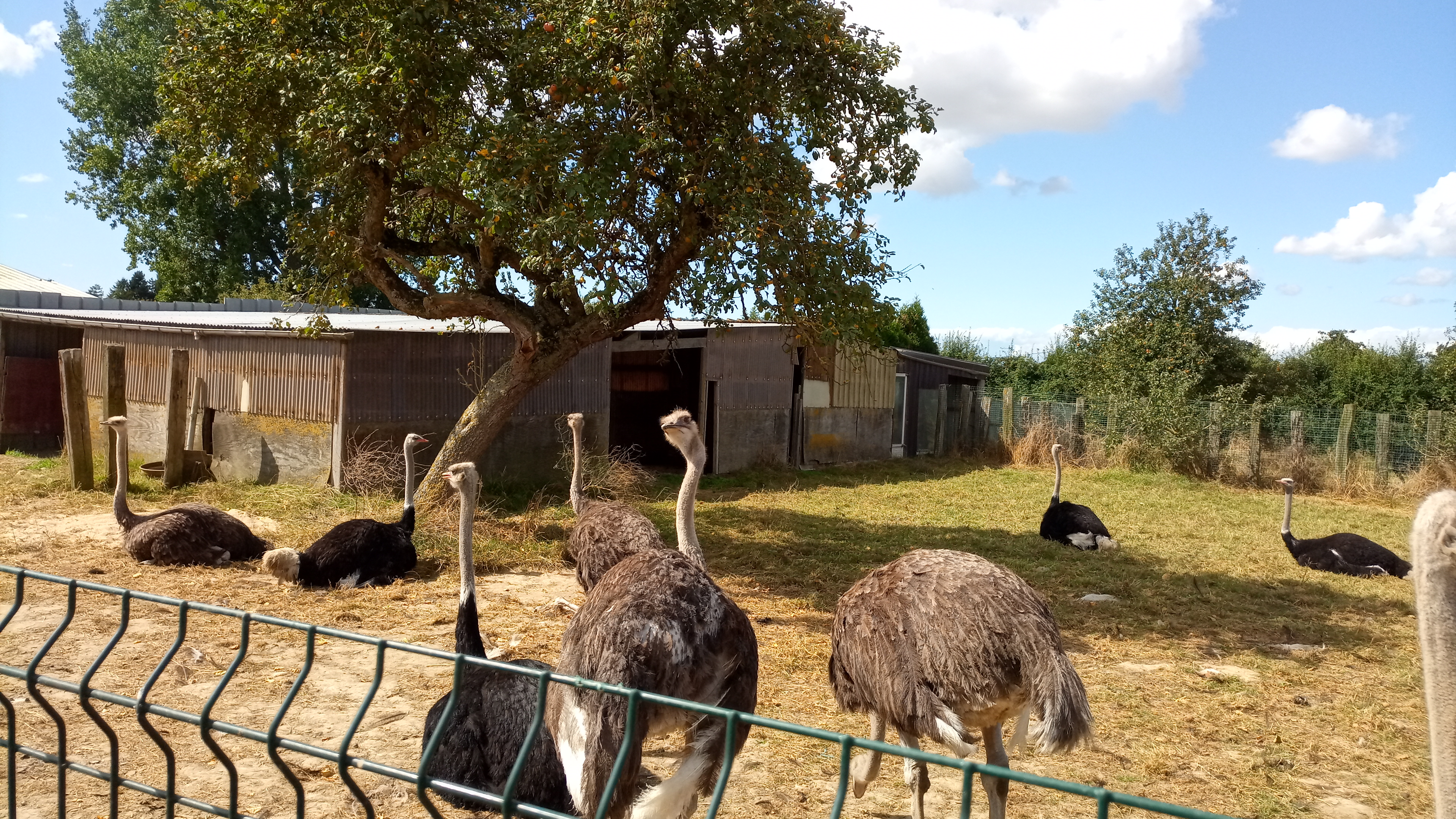 Photo n° 4 de l'avis de Francois.y fait le 01/09/2019 à 22:26
