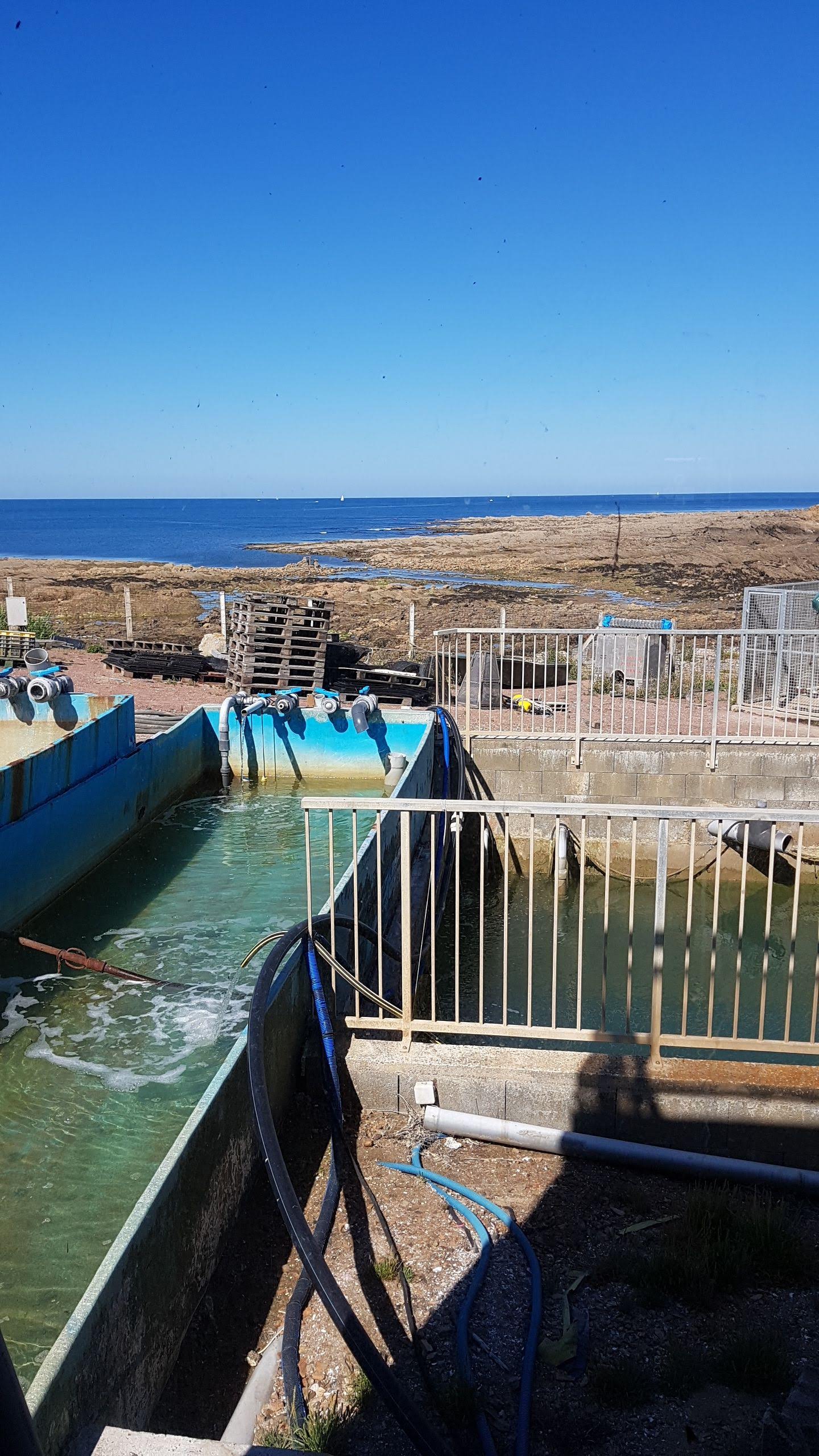 Photo n° 11 de l'avis de Laetitia.e fait le 15/07/2019 à 10:39