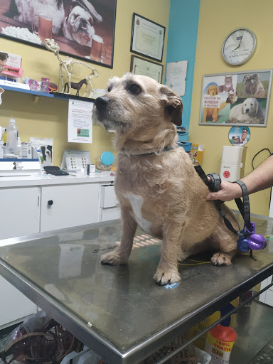 Clínica Veterinaria Camino Real en Yecla