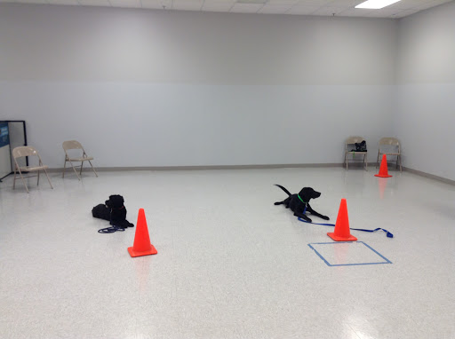 Pet Supply Store «Petco Animal Supplies», reviews and photos, 555 E Townline Rd B, Vernon Hills, IL 60061, USA