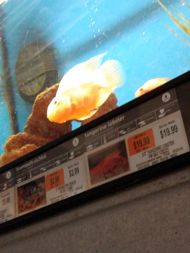 Pet Supply Store «Petco Animal Supplies», reviews and photos, 2230 Marlton Pike W #3, Cherry Hill, NJ 08002, USA