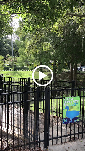 Recreation Center «Rigsby Recreation Center», reviews and photos, 605 2nd St N, Safety Harbor, FL 34695, USA