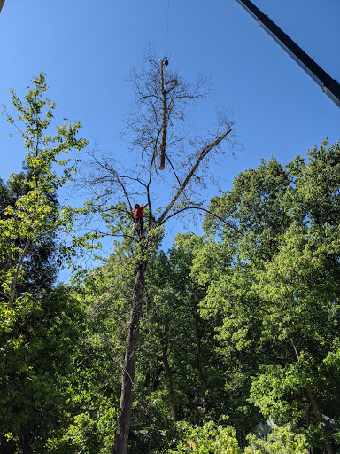 Lineberger's Tree Services Inc