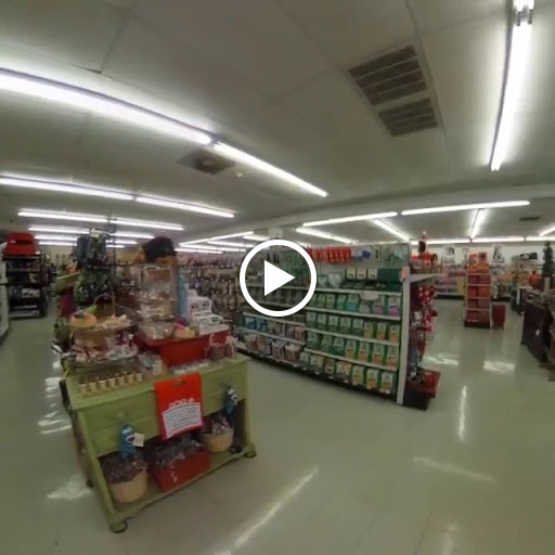 Pet Supply Store «Dog Lovers of Tarpon», reviews and photos, 39934 US Hwy 19 N, Tarpon Springs, FL 34689, USA