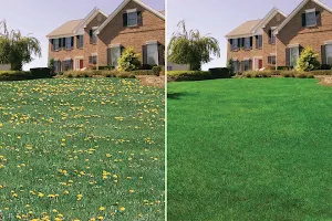 Lawn Doctor of Rockland County image