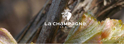 Champagne Épernay - Champagne Tarillon Dizy