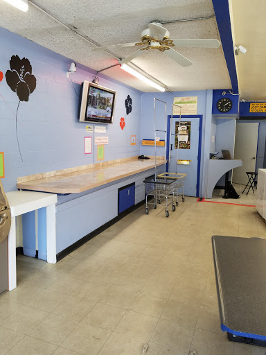 Coin Operated Laundry Equipment Supplier «Blue Moon Coin Laundry», reviews and photos, 5425 Linda Vista Rd, San Diego, CA 92110, USA