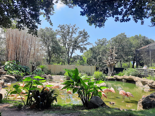 Zoo «Houston Zoo», reviews and photos, 6200 Hermann Park Dr, Houston, TX 77030, USA