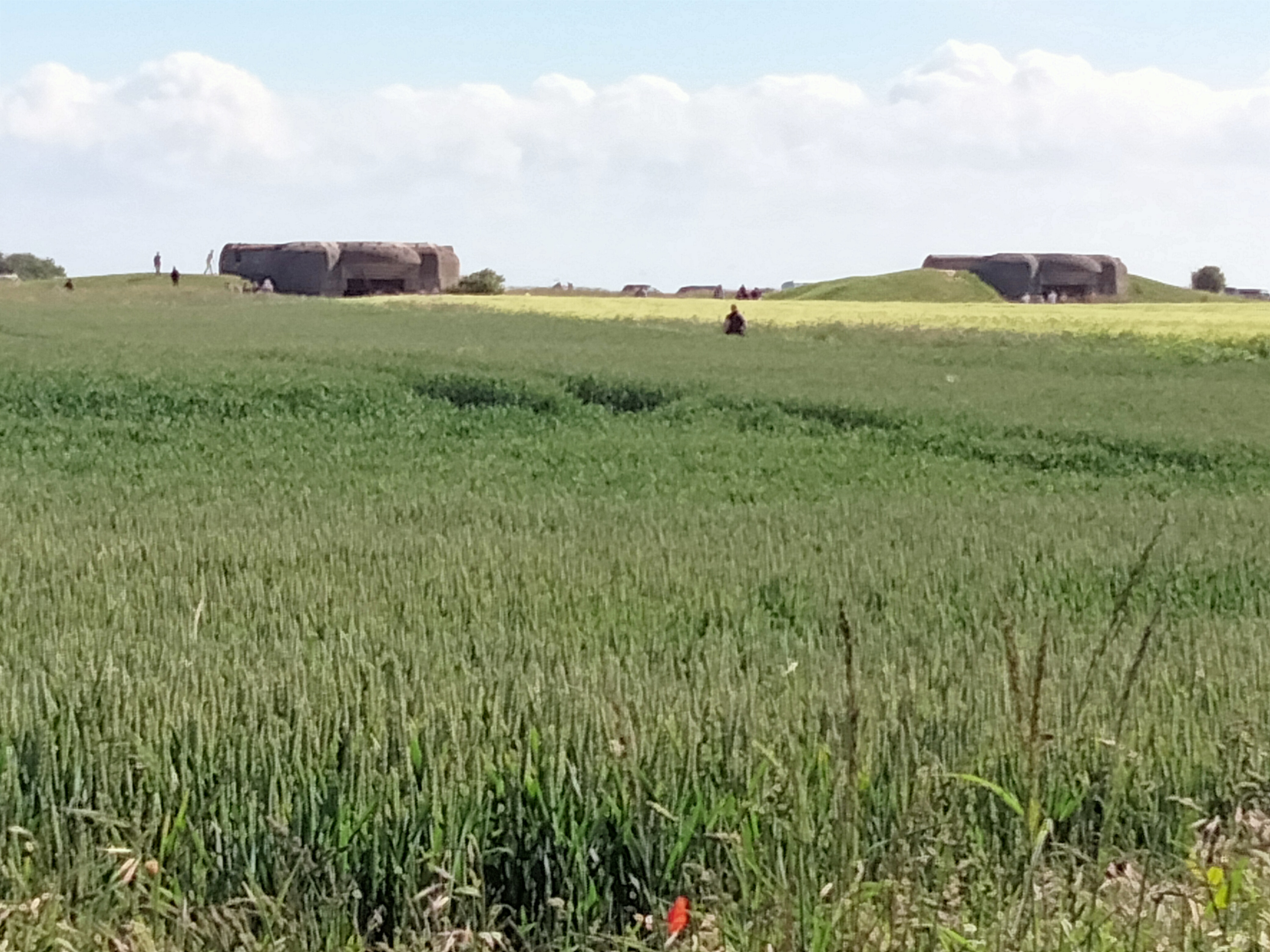 Photo n° 10 de l'avis de Didier.g fait le 27/05/2022 à 21:31