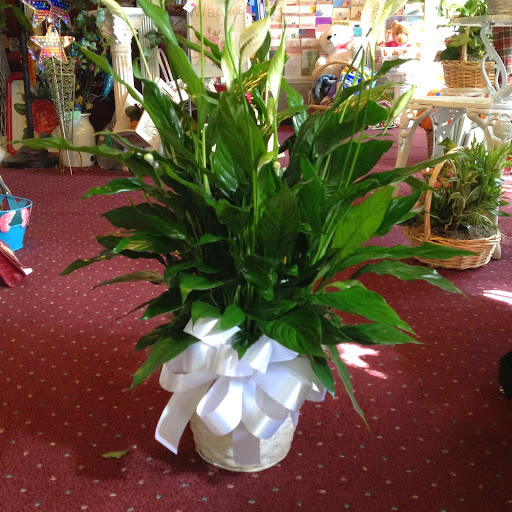 Florist «Old Town Flowers and Gifts», reviews and photos, 79 Main St NW b, Lilburn, GA 30047, USA