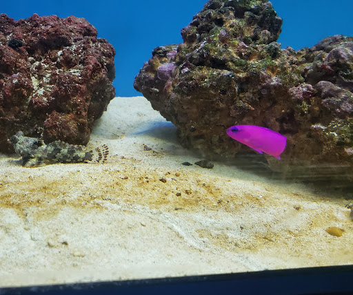 Pet Supply Store «Petco Animal Supplies», reviews and photos, 513 S Mason Rd, Katy, TX 77450, USA