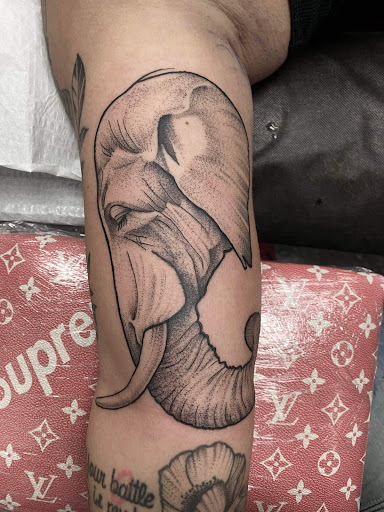 Explore tattoo arm filler ideas, creative tattoo ideas in Franklin Park, available at Atmosphere Tattoo Gallery - Franklin Park