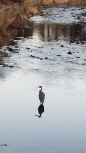 Park «Memorial Park», reviews and photos, 580 Valley St, Maplewood, NJ 07040, USA