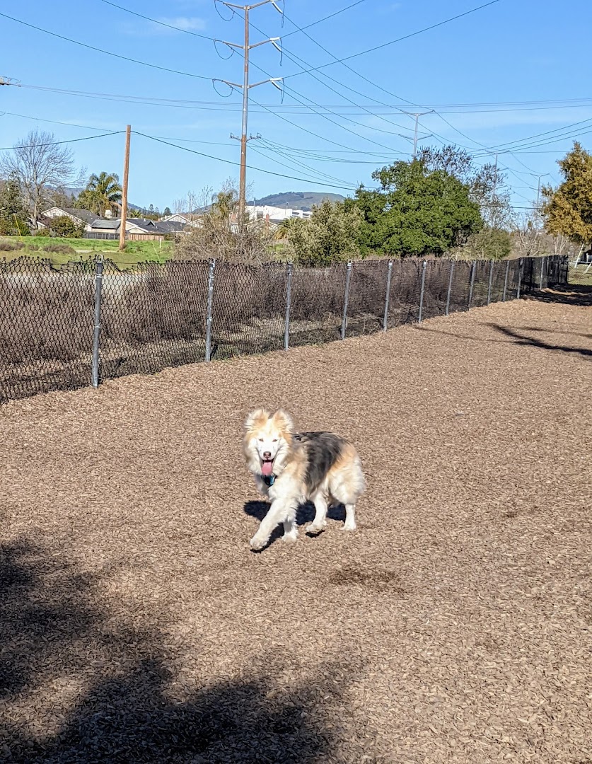 Del Mar Dog Park (Off-leash, open dawn-dusk)