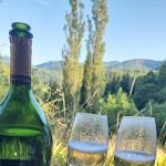 Photo n° 6 de l'avis de Christoffe.o fait le 16/07/2022 à 21:36 pour Ma p'tite Cabane en Lozère, gîte et cabanes dans les arbres, ch. d'hôtes de charme parc des cévennes à Vebron