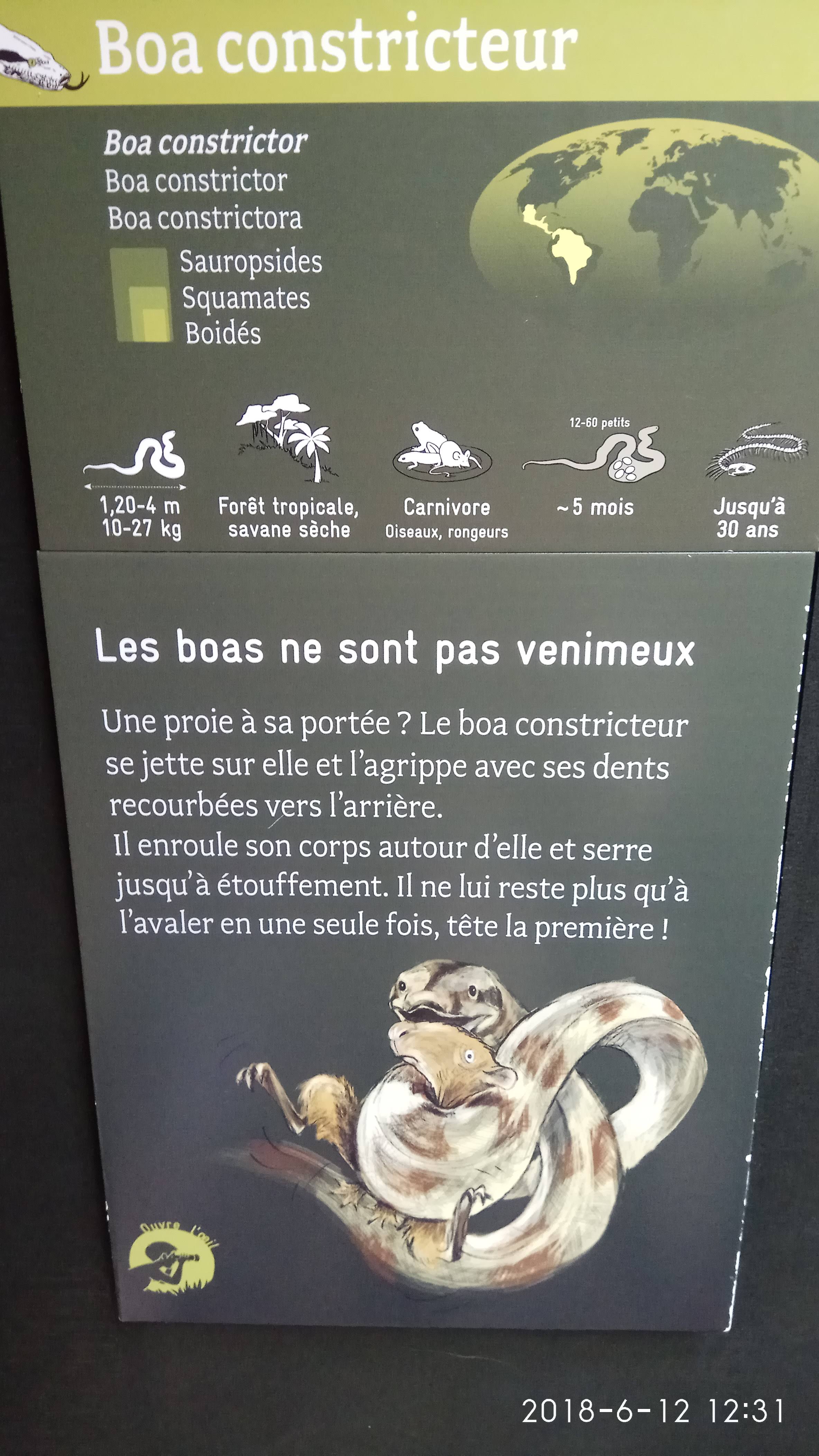 Photo n° 35 de l'avis de Swiss.e fait le 15/06/2018 à 19:24