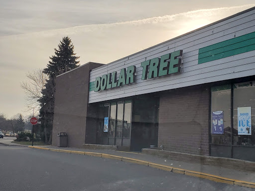 Dollar Store «Dollar Tree», reviews and photos, 4301 Winnetka Ave N, New Hope, MN 55428, USA