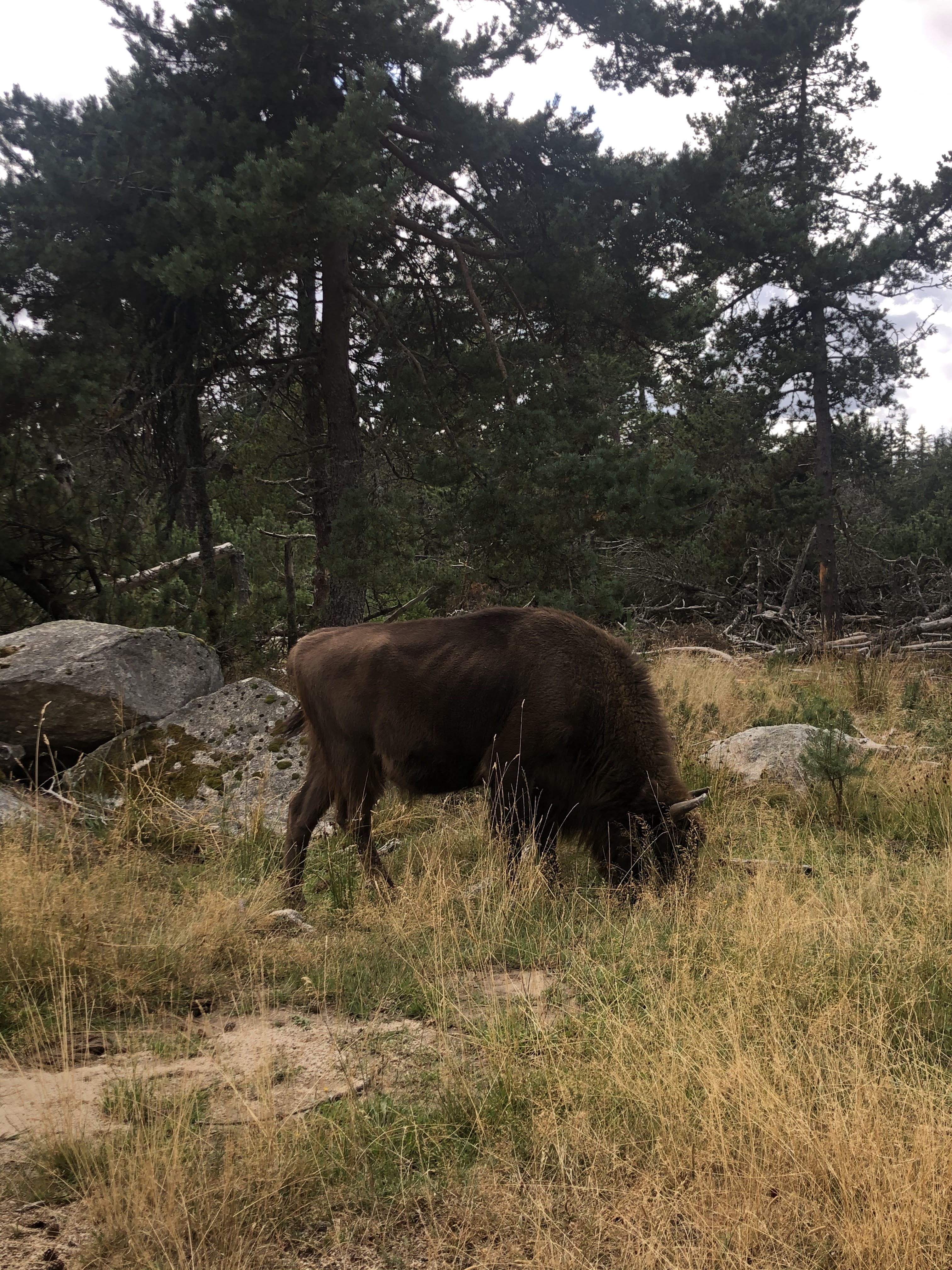 Photo n° 2 de l'avis de Manon.R fait le 30/08/2020 à 07:37