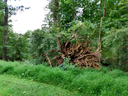 Golf Course «Enterprise Golf Course», reviews and photos, 2802 Enterprise Rd, Mitchellville, MD 20721, USA