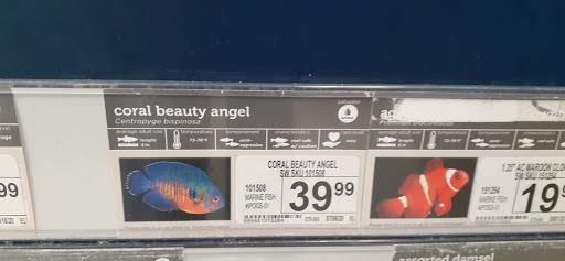 Pet Supply Store «Petco Animal Supplies», reviews and photos, 200 Center Blvd S, Christiana, DE 19702, USA