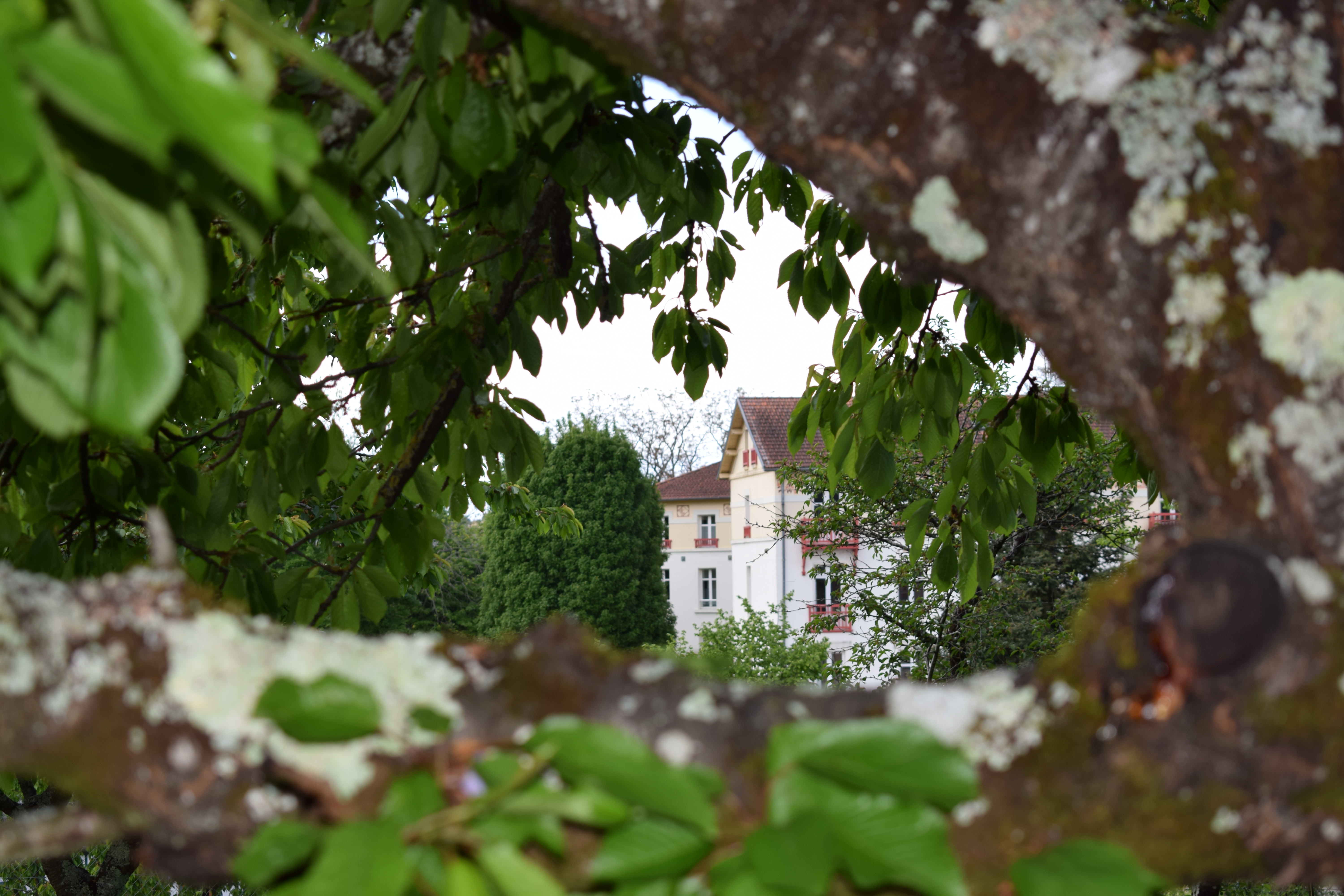 Photo n° 10 de l'avis de Valérie.I fait le 17/05/2021 à 16:08