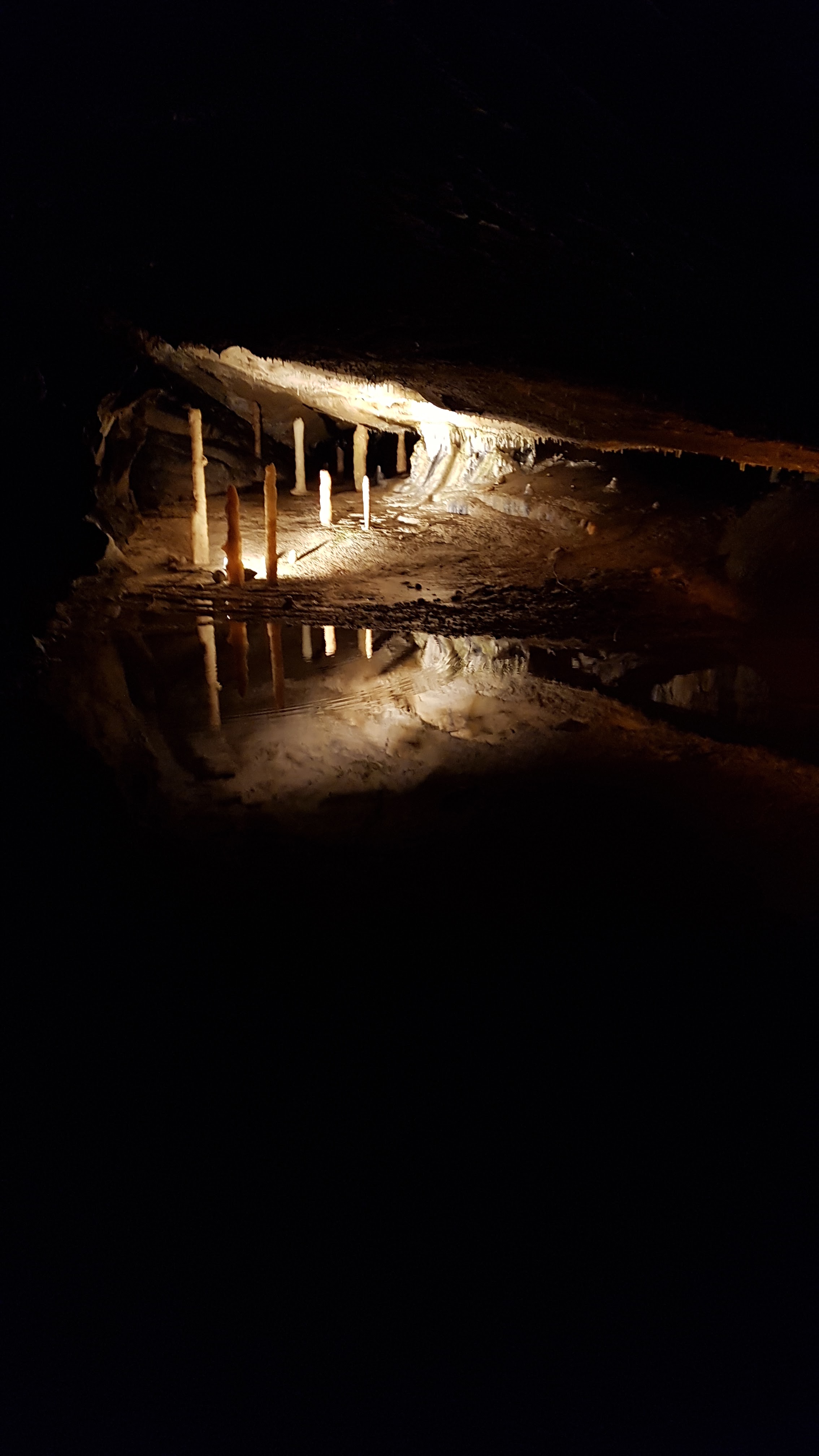 Photo n° 31 de l'avis de delphine.l fait le 25/08/2018 à 12:52