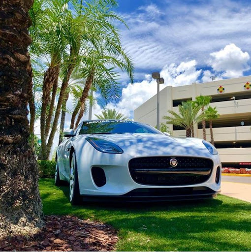 Jaguar Dealer «Jaguar of Tampa», reviews and photos, 320 E Fletcher Ave, Tampa, FL 33612, USA