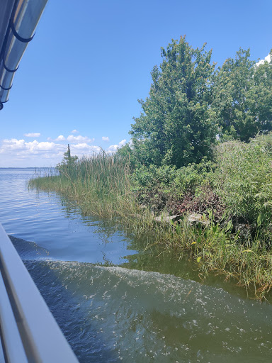 Tourist Attraction «Premier Boat Tours», reviews and photos, 100 Alexander St, Mt Dora, FL 32757, USA