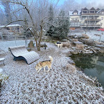 Photo n°2 de l'avis de LifeOf2Huskys. fait le 17/03/2023 à 06:03 sur le  Natur-Hunde-Hotel Bergfried à Rötz