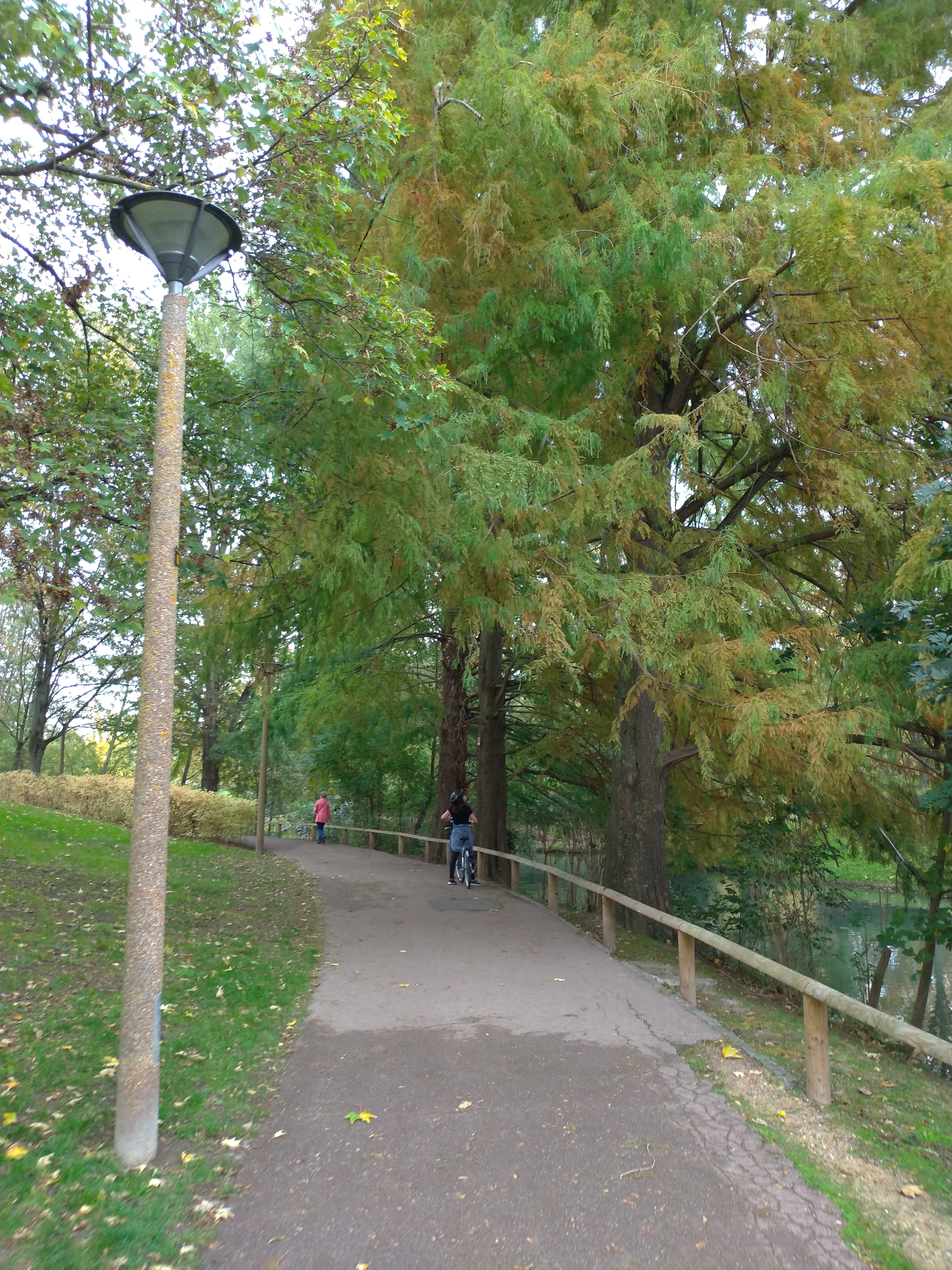 Photo n° 28 de l'avis de Benjamin.e fait le 22/10/2020 à 20:16