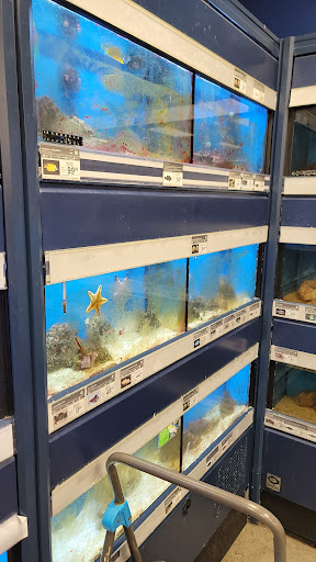 Pet Supply Store «Petco Animal Supplies», reviews and photos, 205 Goodman Rd W, Southaven, MS 38671, USA