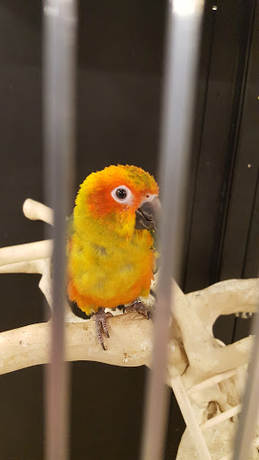 Pet Supply Store «PetSmart», reviews and photos, 7631 Carson Blvd, Long Beach, CA 90808, USA