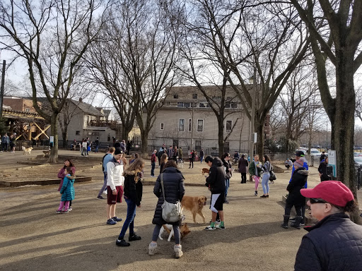 Dog Park «Wiggly Field Dog Friendly Area», reviews and photos, 2645 N Sheffield Ave, Chicago, IL 60614, USA