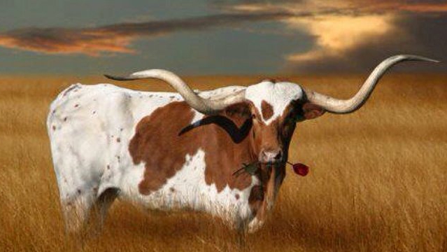 Johnson Small Engine Repair & Auto Repair