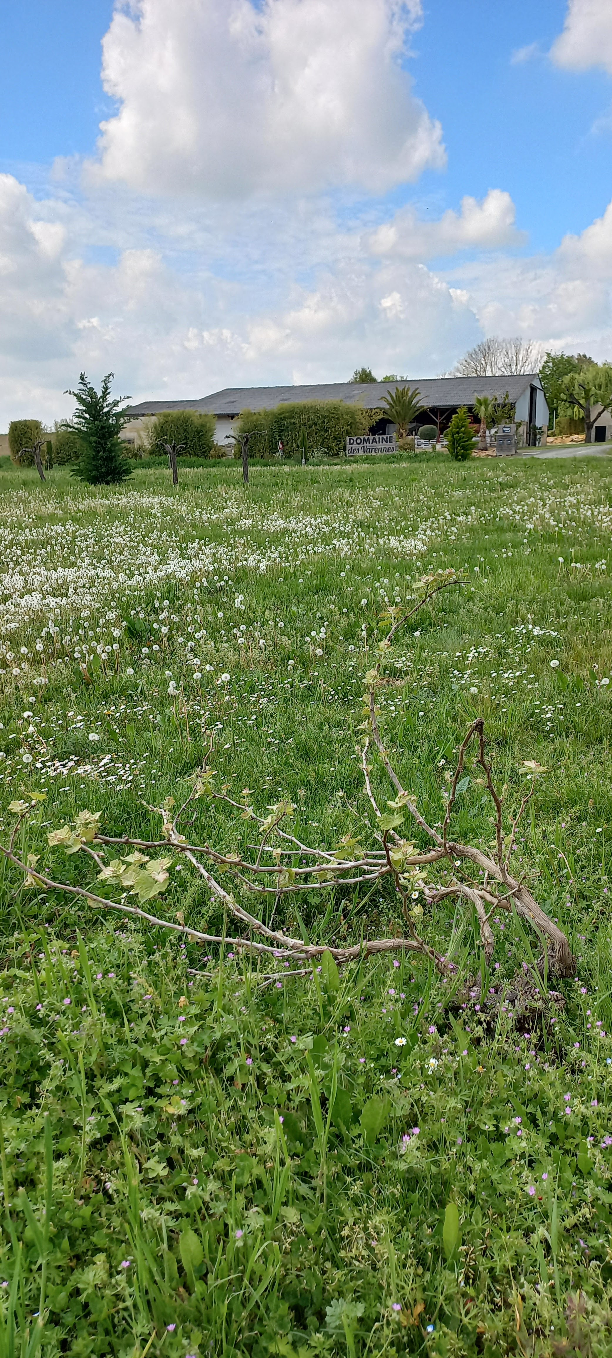 Photo n° 10 de l'avis de Françoise.o fait le 04/05/2023 à 12:34