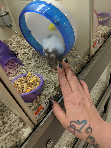 Pet Supply Store «Pet Supplies Plus», reviews and photos, 115 Richard B. Russell Parkway suite-110, Warner Robins, GA 31088, USA